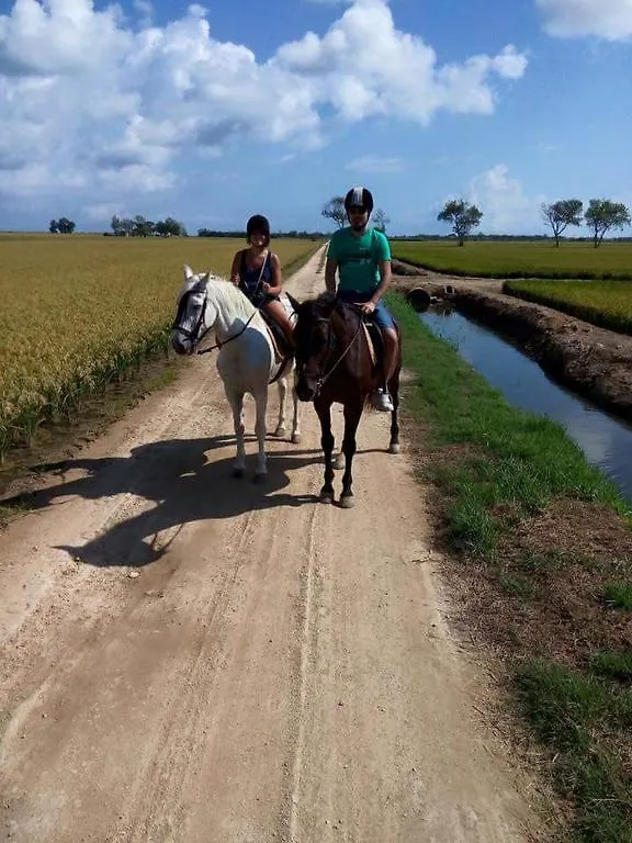 La Barraca D'En Salvador Holiday home Deltebre