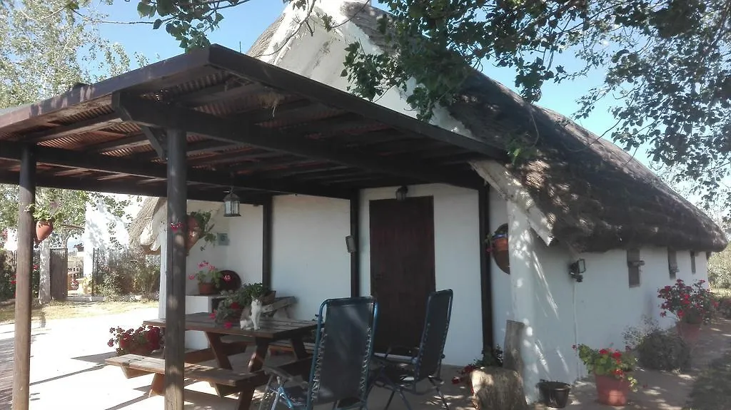 La Barraca D'En Salvador Holiday home Deltebre